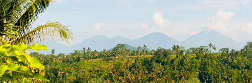 Preview: Panoramic Photo of Volcanoes, Mountains and a Forest of Palm Trees on Bali, Indonesia, Asia