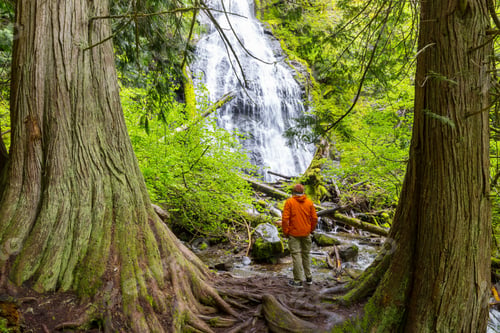 Preview: Hiker near waterfall