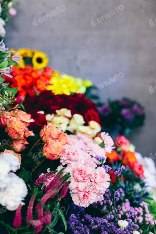 Preview: Flowers and plants in florist shop