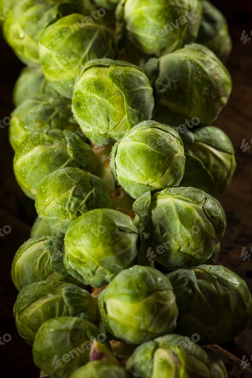 Preview: Raw Green Organic Brussel Sprouts