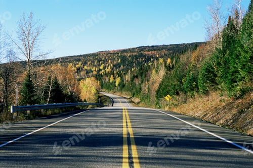 Preview: Deserted highway running through forest