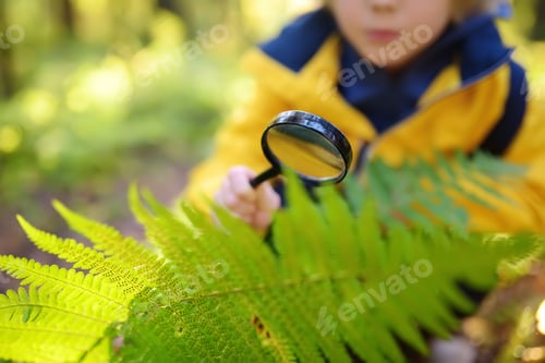 Preview: Preschooler boy is exploring nature with magnifying glass