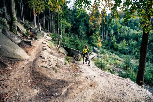 Preview: Mountain biker riding cycling in autumn forest