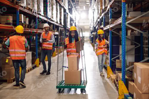 Preview: Diverse warehouse team working together with efficient coordination