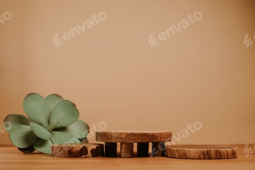 Preview: Wooden stands for branding and product presentation and natural plant isolated on beige background