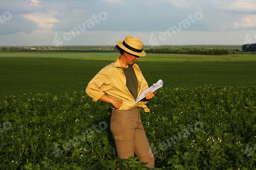Preview: Woman Examining Crops in a Rural Field