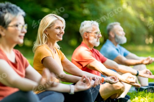 Preview: Group Of Sporty Senior People Practicing Yoga Together Outdoors