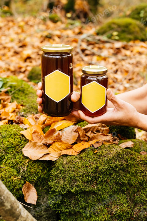 Preview: Close-up View of Honey Pots Surrounded by Autumn Leaves in a Natural Setting