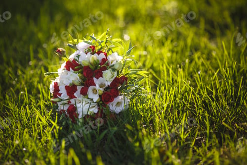 Preview: Bouquet of red and white roses flowers on the grass with evening sun