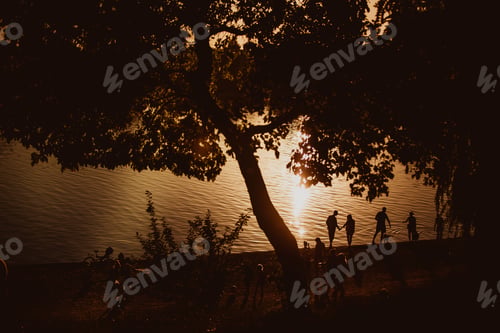 Preview: relaxation on the beach, amazing sunset, sunset near the water, sunset throw the trees people near