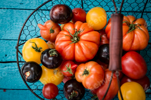 Preview: Different heirloom tomatoes in a wire basket