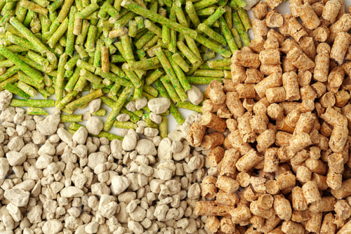 Preview: Different types of cat litter close up