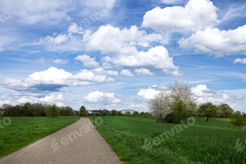 Preview: Bright blue sky with white clouds. Country gravel road between fields. wonderful springtime