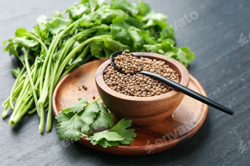 Preview: Coriander seeds in bowl, spoon and fresh cilantro leaves on dark textured table, closeup