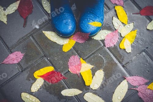 Preview: Feet in blue rubber boots standing in a wet concrete paving