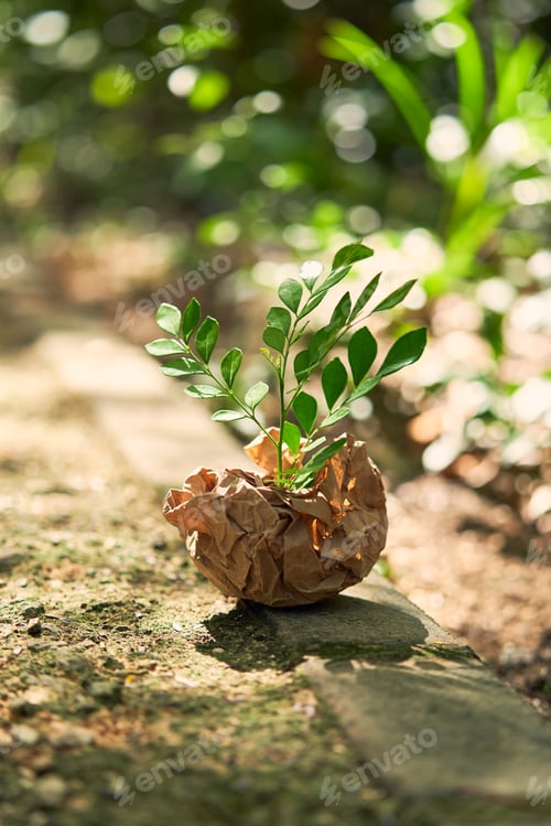 Preview: Paper craft with a germinating plant above. Zero waste, eco friendly, plastic free concept.