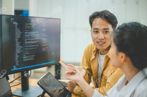 Preview: team programmer focuses on software development, site design