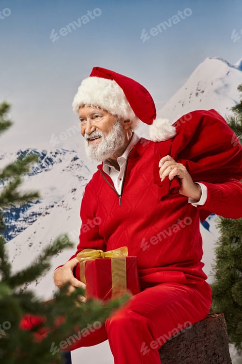 Preview: cheerful Santa sitting on tree stump with present bag and gift looking away, winter concept