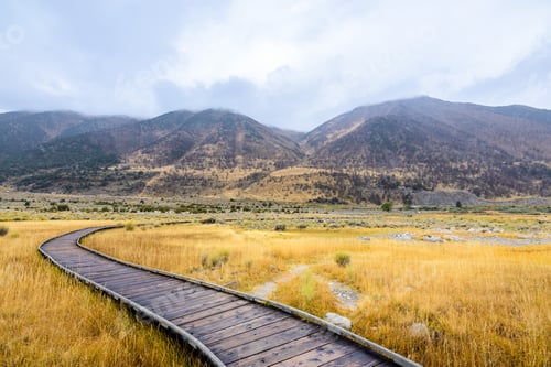 Preview: Wooden boardwalk going through a meadow