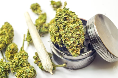 Preview: Medical Marijuana flower bud Joint and grinder