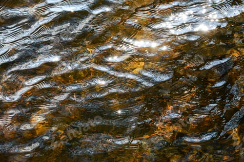 Preview: Water background and texture. Clean clear water in the lake. Glittering surface of clear water