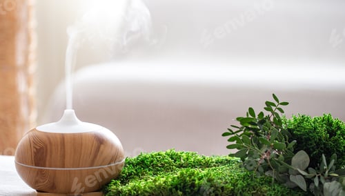 Preview: Modern Aromatic oil diffuser with fresh herbs .