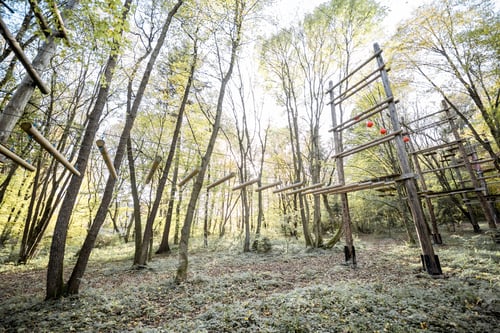 Preview: Rope park in the forest