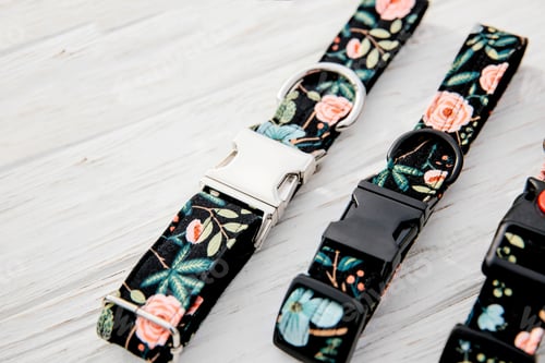 Preview: Dog Collar and Leash set. Pet Supplies and Walking Gear Collection