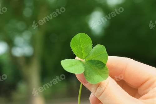Preview: Woman holding four-leaf clover outdoors, closeup with space for text