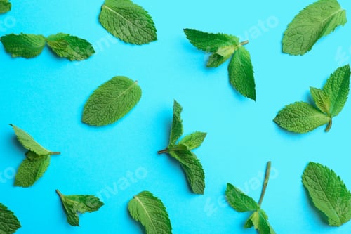 Preview: Fresh mint leaves on light blue background, flat lay