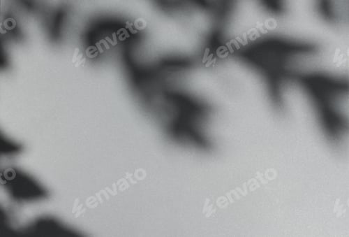 Preview: Shadow leaves gray wall.