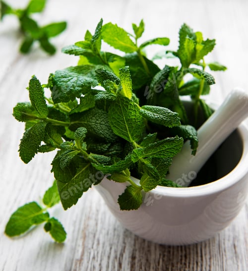 Preview: bunch of fresh mint