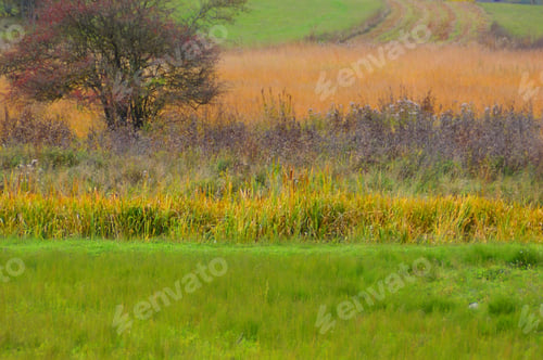 Preview: Nature colors