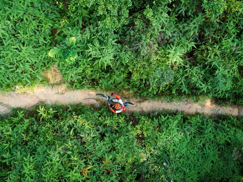 Preview: Cross country biking in summer forest