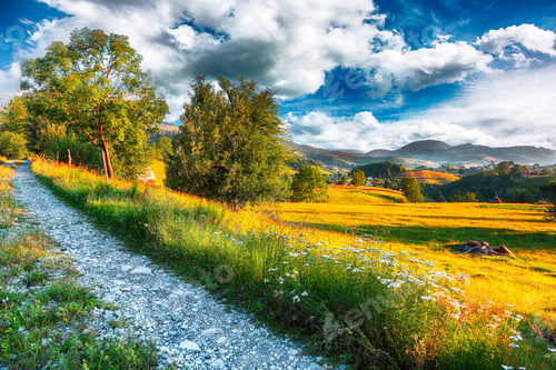 Preview: Majestic countryside landscape with forested hills and grassy meadows in mountains