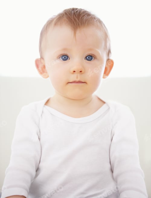 Preview: Bundle of curious joy