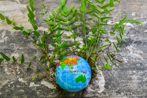 Preview: Globe and plants for ESG concept