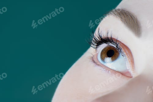 Preview: Close-up of closed eye with long eyelashes, black eyeliner, perfect skin, ideal eyebrow of