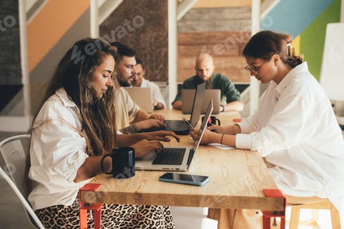 Preview: Coworkers sitting in a modern office, working using their laptops.