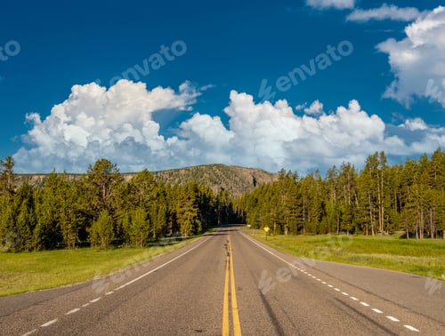 Preview: Highway in Yellowstone National Park