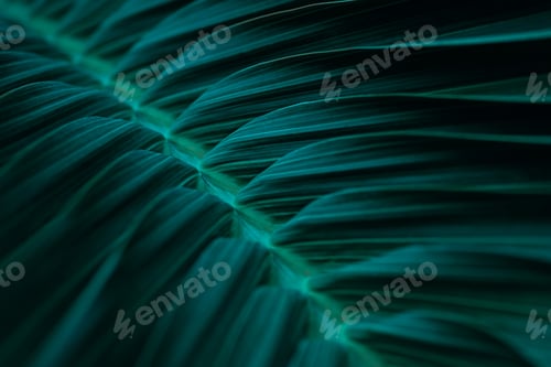 Preview: Natural green plants landscape using as a background or wallpaper or backdrop for design