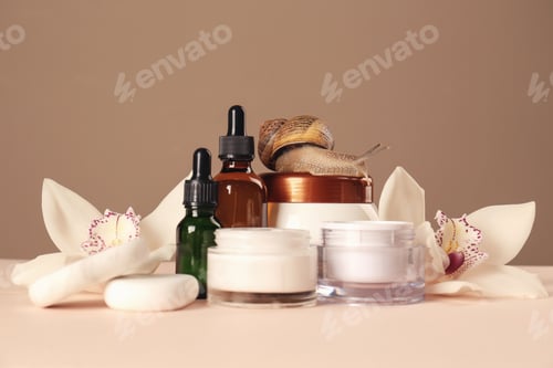 Preview: Organic cosmetics made with mucin, snail, spa stones and beautiful flowers on table