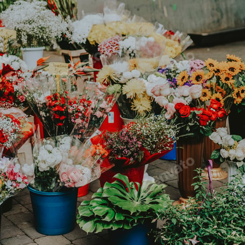 Preview: European street flower shop