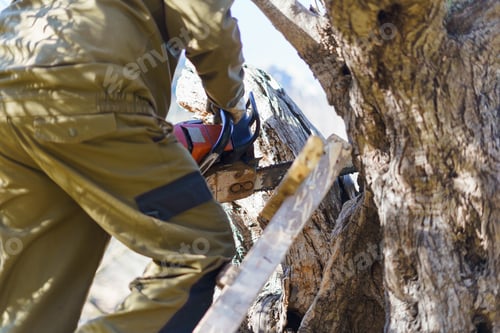 Preview: Unrecognizable lumberjack cutting branches with a chainsaw