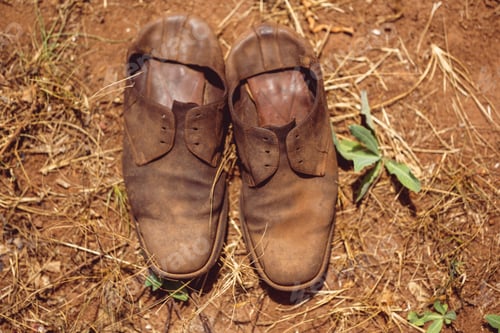 Preview: Pair of old brown shoes lying on the ground surrounded by lush greenery