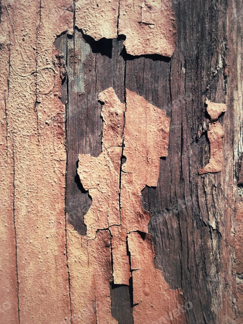 Preview: Grunge Wood Texture And Background