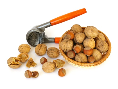 Preview: Walnuts and hazel