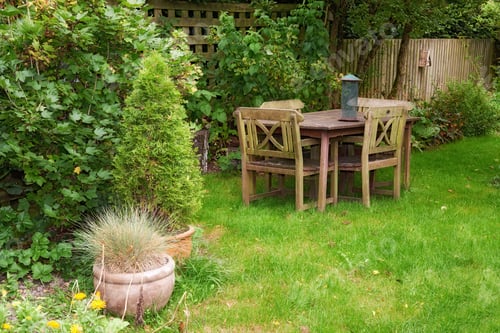 Preview: My garden