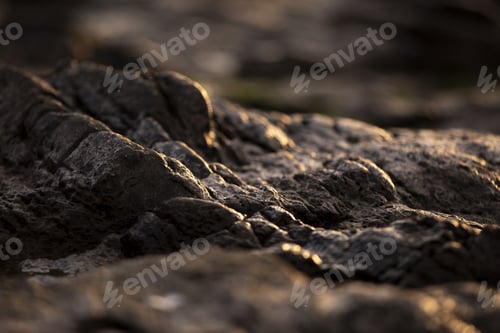 Preview: Macro shot of the soil under the natural sunlight. Detailed rocks, perfect for wallpaper