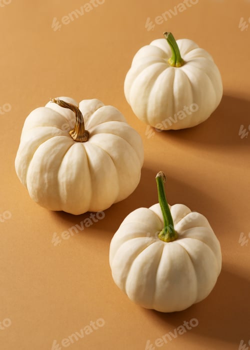 Preview: White pumpkins flat lay on brown background